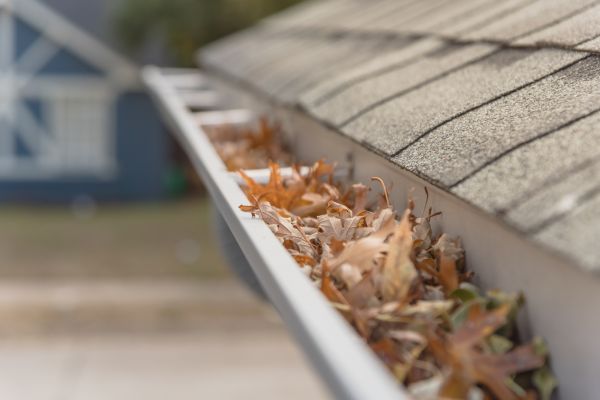 Leaf Barrier Installation in Mckinney